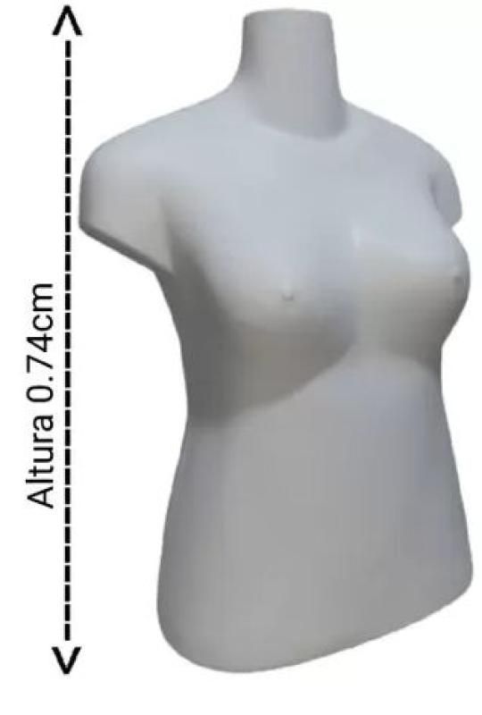 Manequim Plástico R.34 Feminino Busto GG Cor Branco